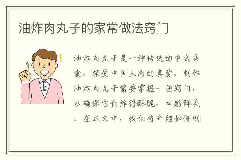 油炸肉丸子的家常做法窍门(油炸肉丸子的家常做法窍门视频)